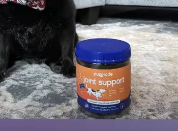 Pupgrade Joint Support