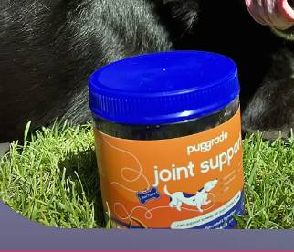 Pupgrade Joint Support