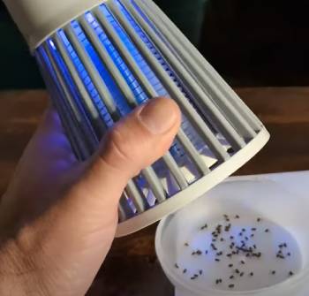 Zappify Bug Zapper