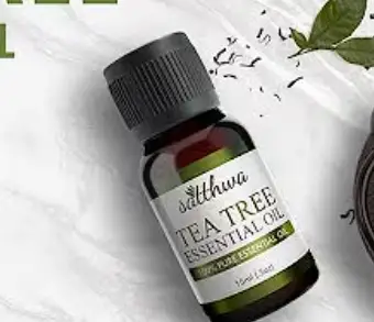 melaleuca vs tea tree