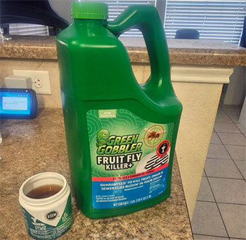 Green Gobbler Fruit Fly Killer