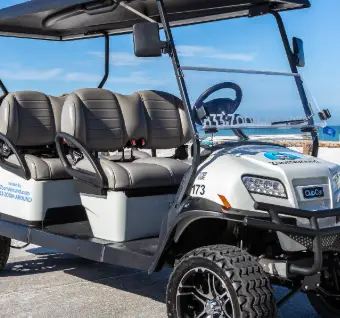 vitacci golf cart