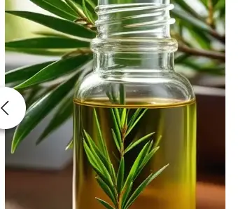 melaleuca vs tea tree