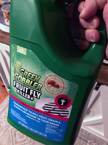 Green Gobbler Fruit Fly Killer