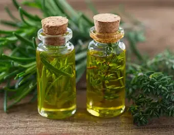 melaleuca vs tea tree