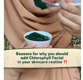 happy Vs chlorophyll