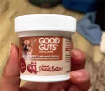Dog’s Gut with Bernie’s Perfect Poop