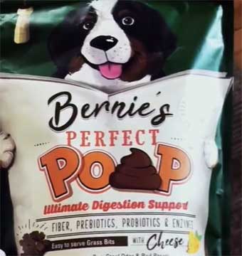 Dog’s Gut with Bernie’s Perfect Poop