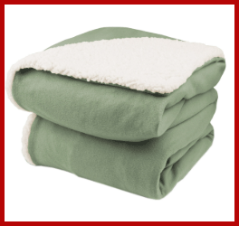 biddeford heated blanket reviews