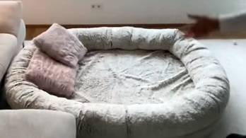 Flufel Cloud Bed