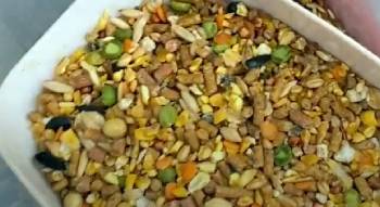 Kalmbach Chicken Feed