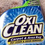 Oxiclean Carpet And Rug Pet Stain And Odor Remover