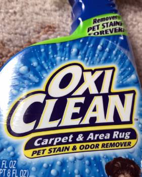 Oxiclean Carpet And Rug Pet Stain And Odor Remover