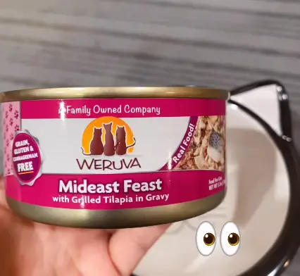 Weruva Vs. Tiki Cat Wet Cat Food