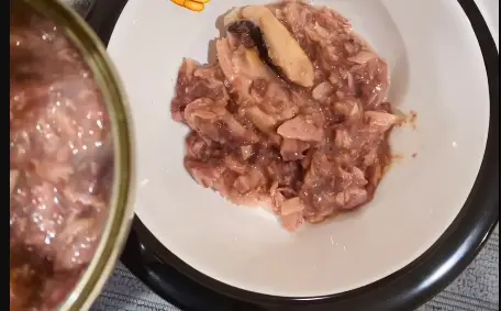 Weruva Vs. Tiki Cat Wet Cat Food