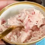 Weruva Vs. Tiki Cat Wet Cat Food