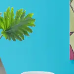 Sherwin-Williams Infinity and Valspar Reserve