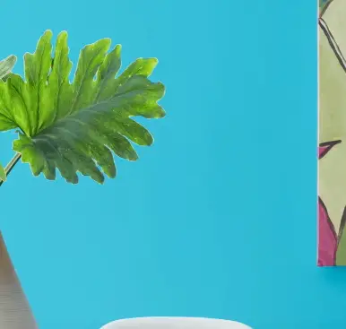 Sherwin-Williams Infinity