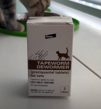 Elanco Tapeworm Dewormer