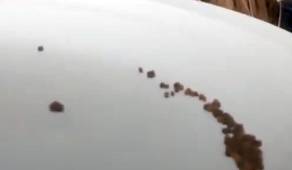 BioAdvanced Termite Killer Granules