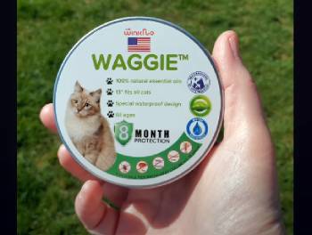 Waggie Flea Collar