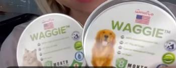 Waggie Flea Collar