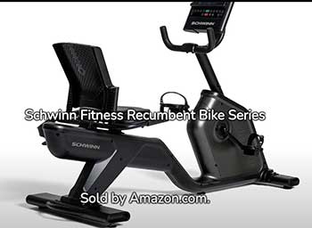 Schwinn 230 Vs. Schwinn 290