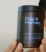 Dog Is Human