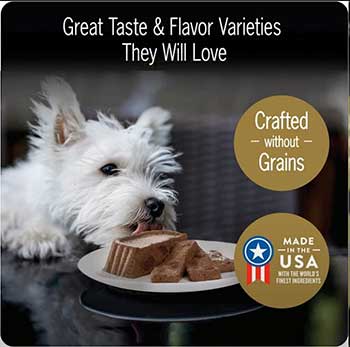 Cesar Wet Dog Food
