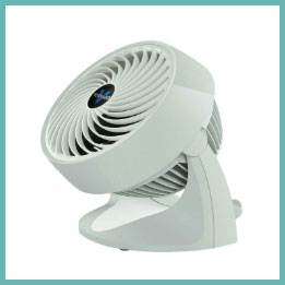 Vornado 533