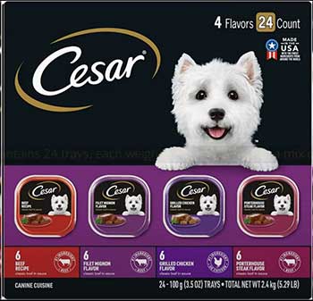 Cesar Wet Dog Food