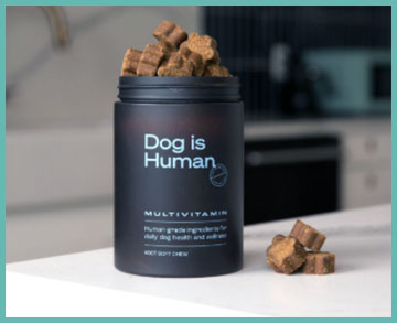 Dog Is Human