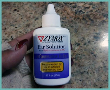 ZYMOX Ear Solution