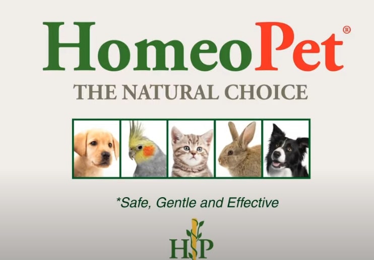 HomeoPet Anxiety Relief