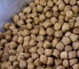 avoderm dog food reviews