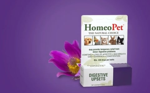 HomeoPet Digestive Upsets
