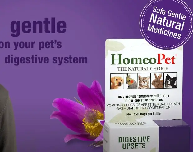 HomeoPet Digestive Upsets