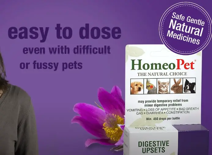 HomeoPet Digestive Upsets