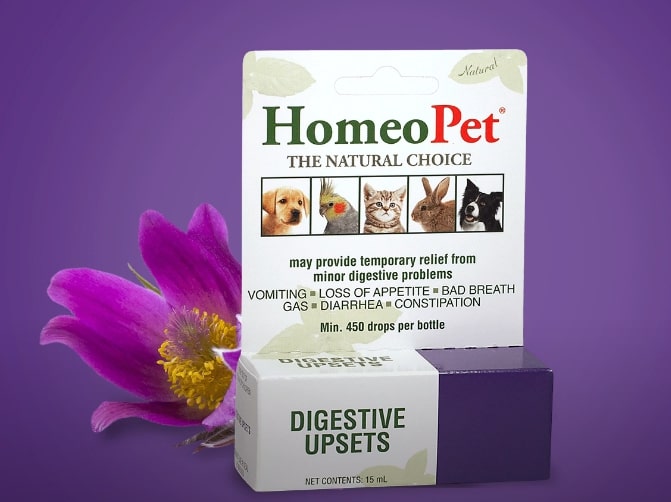HomeoPet Digestive Upsets