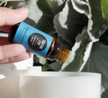 Edens Garden Essential Oils