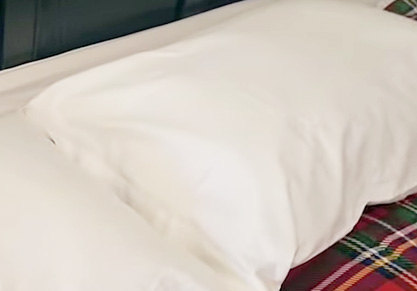 fluffco zen pillows reviews