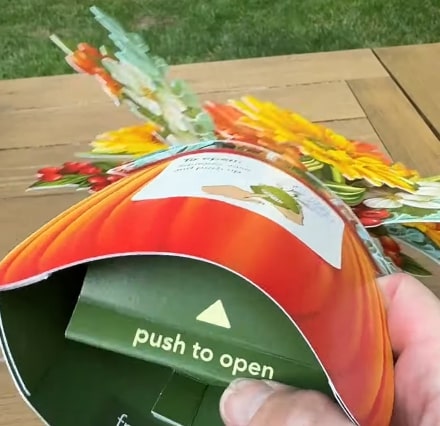 Fresh Cut Paper