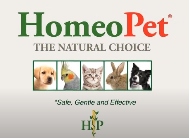 HomeoPet Skin and Itch