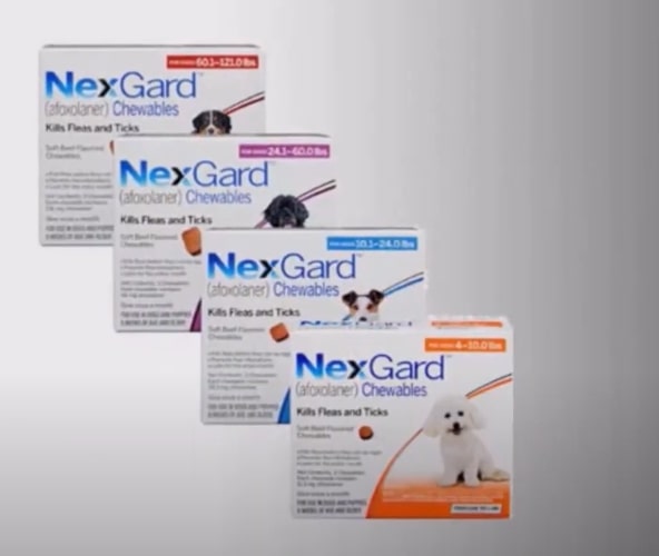NexGard Vs Frontline Vs Advantix