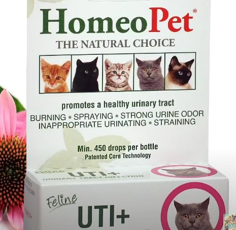 HomeoPet UTI