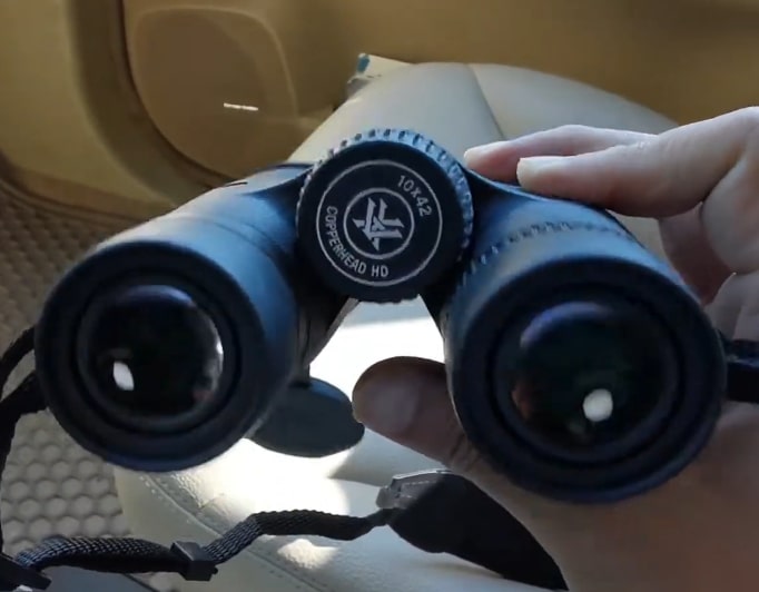 Vortex Copperhead Vs Triumph