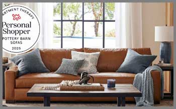 Pottery Barn Sleeper Sofa