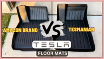 Tesmanian vs. Tesla