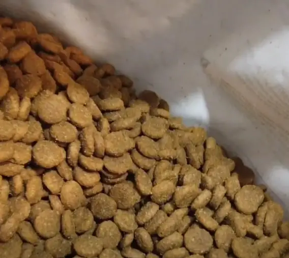 Diamond Naturals Dog Food