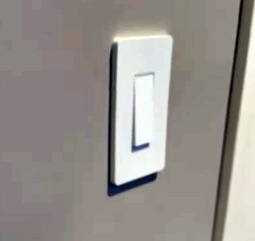lutron vs kasa
